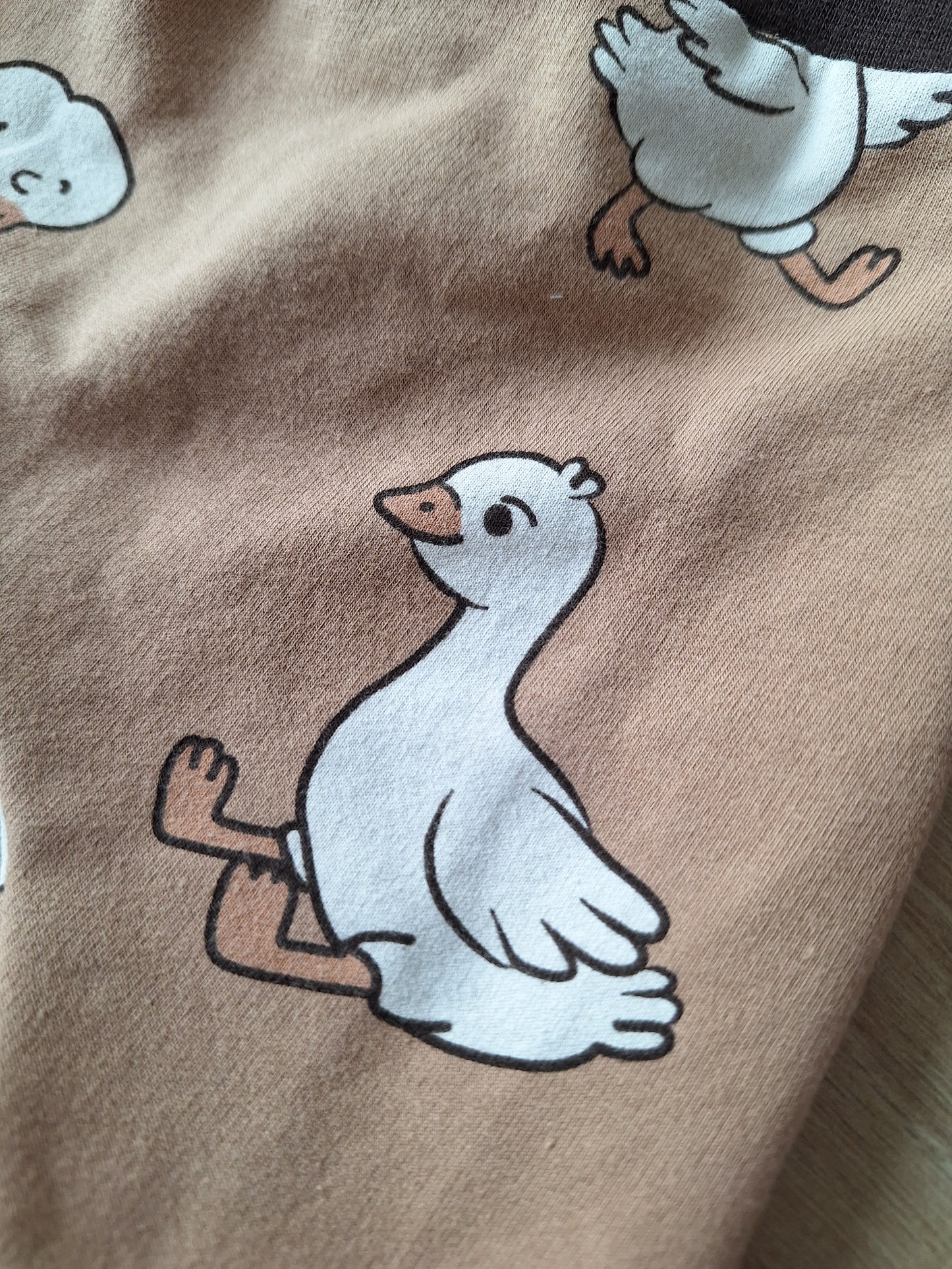 Harembroekje eendjes