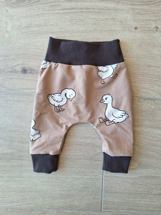 Harembroekje eendjes